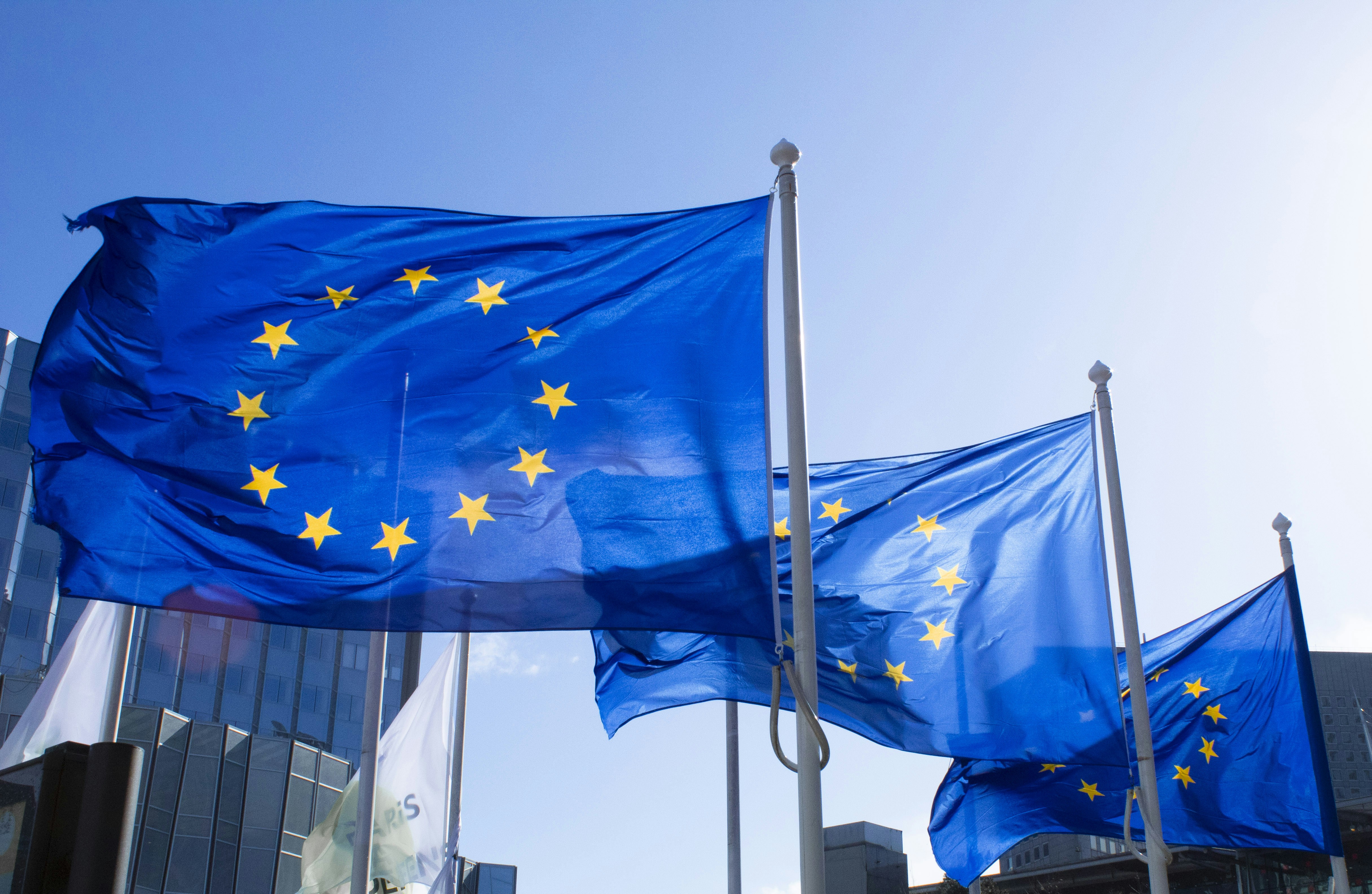 EU flags outside the European Parliament building against a blue sky