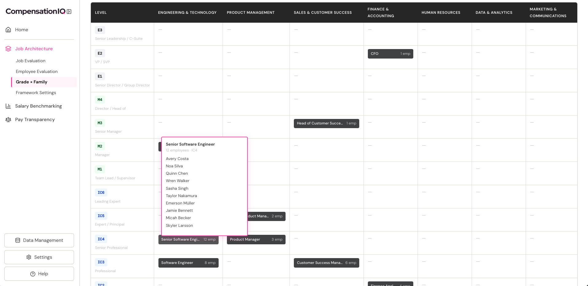 Grade by family matrix showing every role in the organisation plotted, with a hover tooltip revealing employee detail in a selected cell
